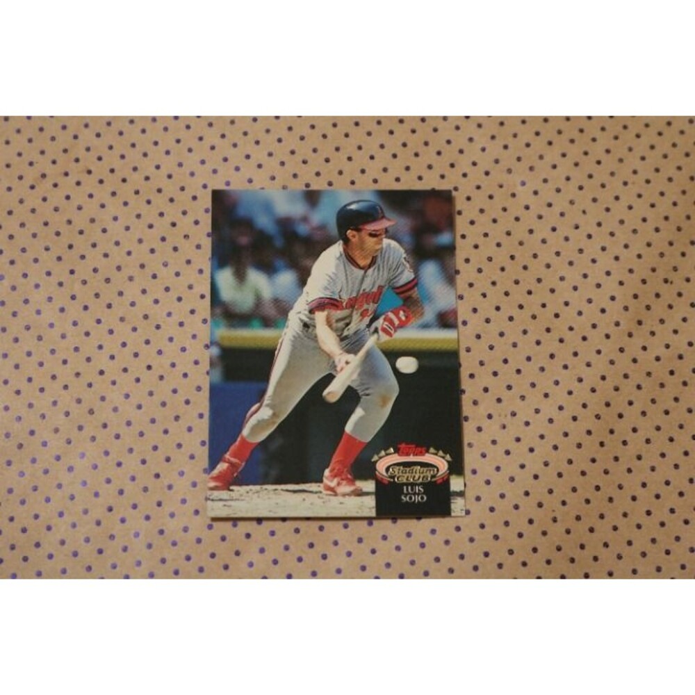 Luis Sojo #373 Baseball Card (1992)